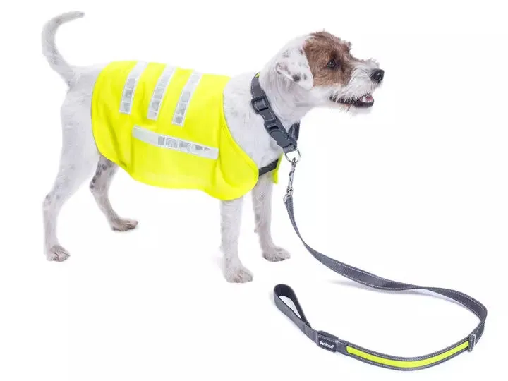 Safety Vest | Reflective Vest for Dogs | Size Varieties