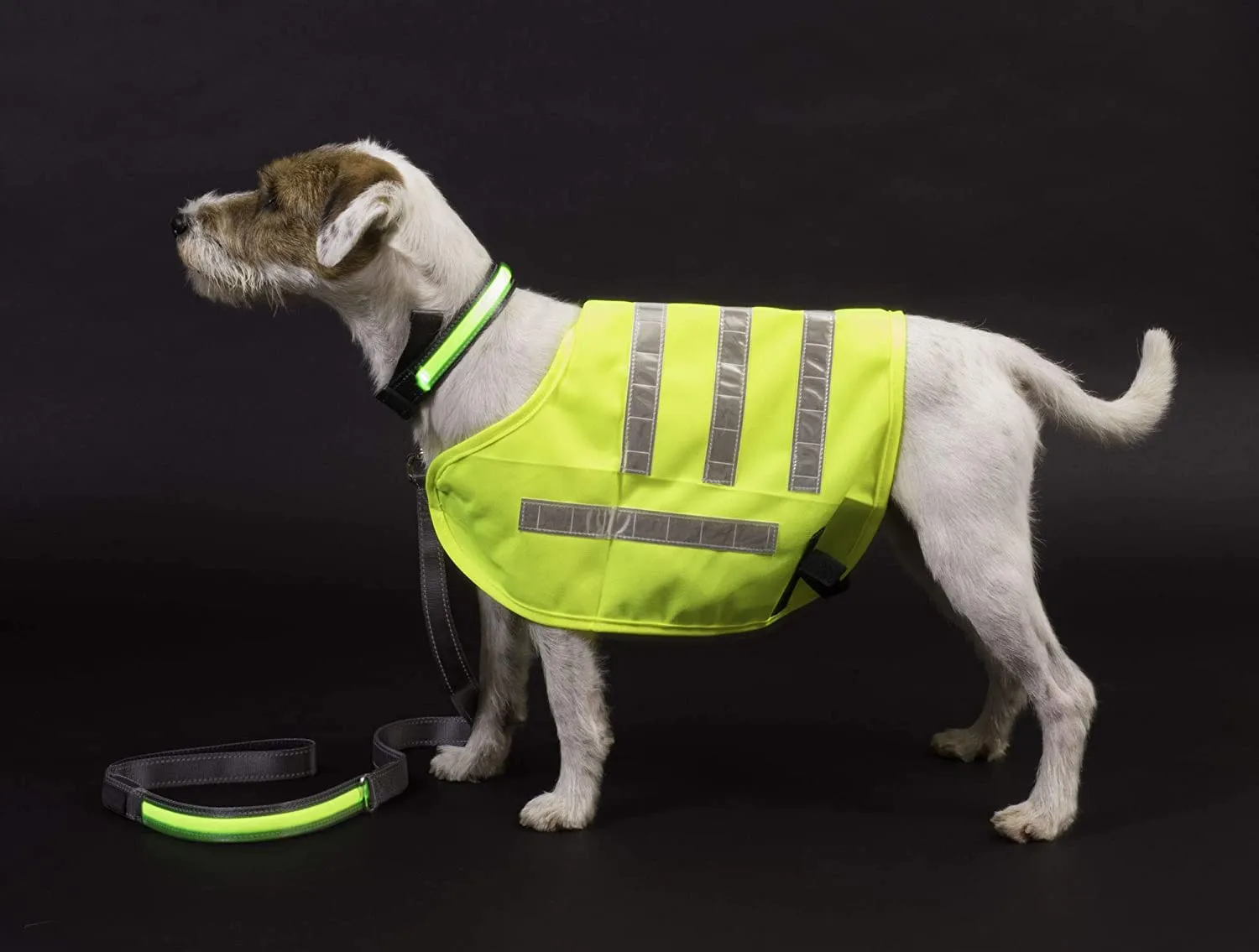Safety Vest | Reflective Vest for Dogs | Size Varieties